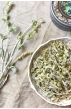 希臘山茶 Greek Mountain Tea