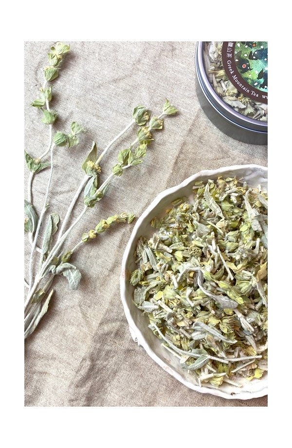 希臘山茶 Greek Mountain Tea