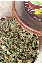 岩薔薇 Cistus Creticu