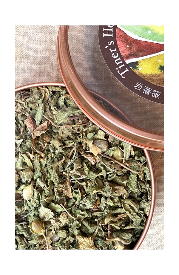 岩薔薇 Cistus Creticu